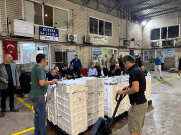Balık Sezonu İlk Mezatla Açıldı