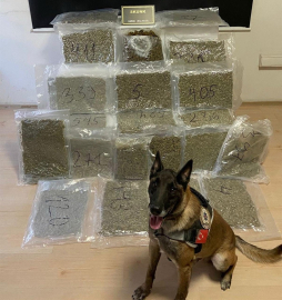 Balıkesir’de 12 Kilo 600 Gram Skunk Ele Geçirildi!