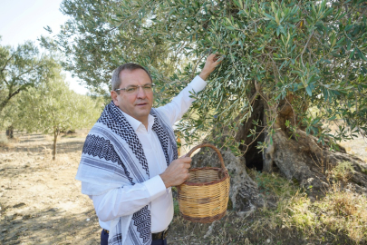 20. Ayvalık Zeytin Hasat ve Turizm Festivali’ne Hazırlıklar Tamamlandı