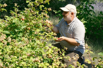 Tarımda ezber bozan üretim