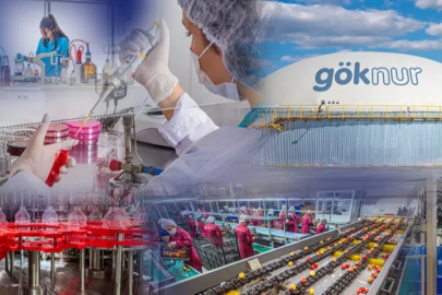 Göknur’dan kayyım açıklaması... Karar aynı gün kaldırıldı