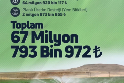 Çiftçilere 67 milyon TL'lik tarımsal destek hesaplarda