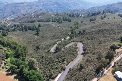 Ordu’da Ulubey Şeyhler’de yol sevinci