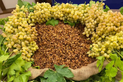 Kuru Meyve İhracatçıları Uluslararası İş Birliklerini Sıklaştırıyor