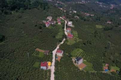 Ordu Aybastı’da ulaşım konforu artıyor
