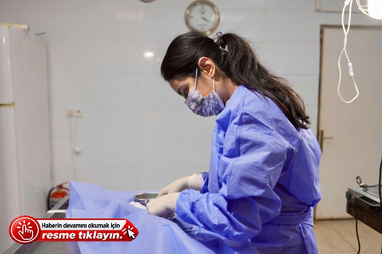 BURHANİYE BELEDİYESİ, CAN DOSTLARIN SICAK YUVA UMUDU OLUYOR