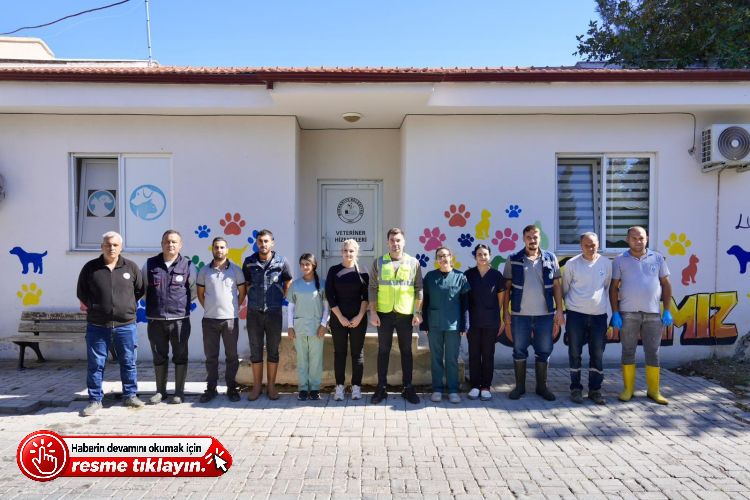 BURHANİYE BELEDİYESİ, CAN DOSTLARIN SICAK YUVA UMUDU OLUYOR
